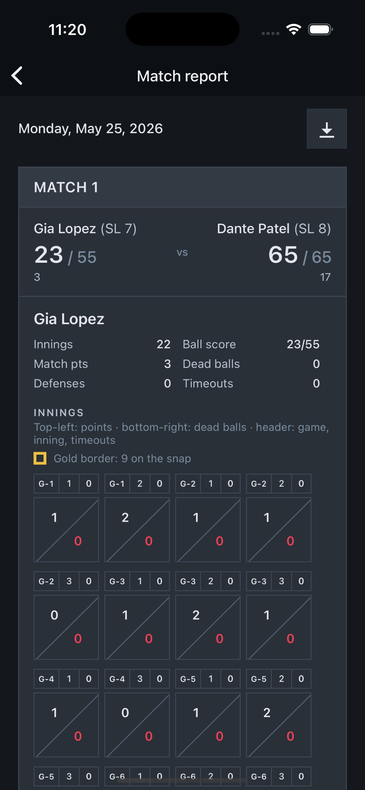 APA 9 Ball match report